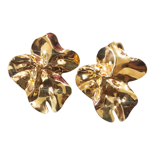 Introducing Our Western Anti-Tarnish Earrings Combo - Image 2