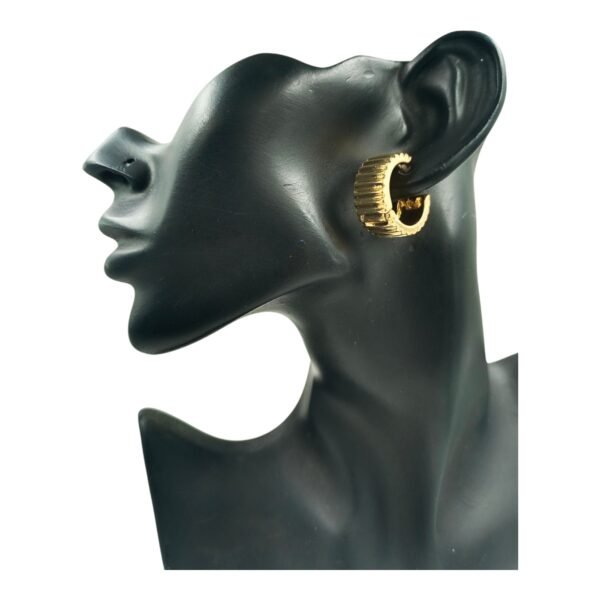 Introducing Exquisite Designer Anti-Tarnish Western Earrings