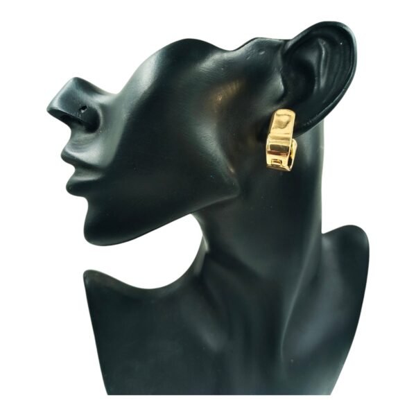 Introducing Exquisite Designer Anti-Tarnish Western Earrings